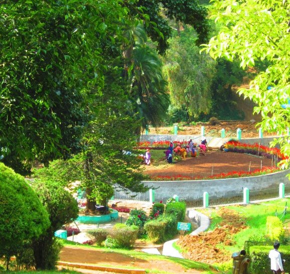 Sim's Park, Nilgiris, Tamil Nadu - Vushii.com Sim's Park, Nilgiris, Tamil Nadu - Vushii.com
